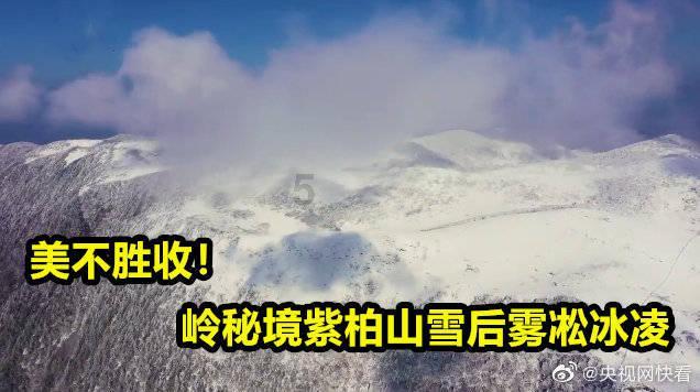 穿越遗弃的森林