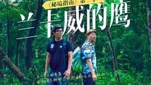 奥维卫星实景地图 超清晰游戏画面
