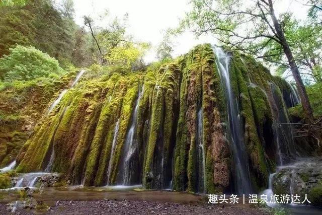 救援可爱小猪仔