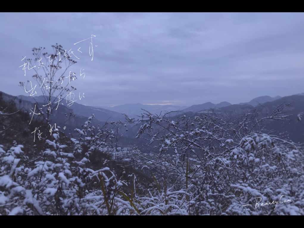 逃离冰淇淋岛屿