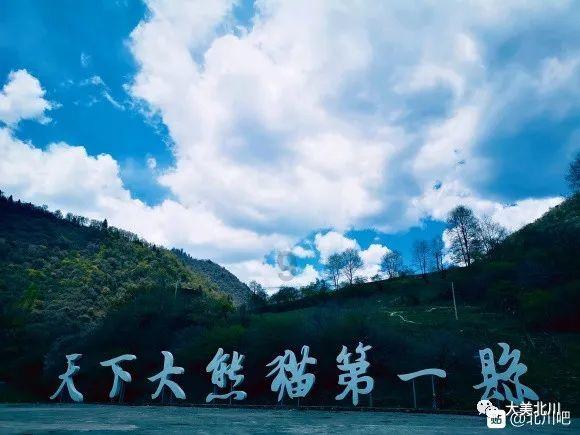 玩具店里的娃娃