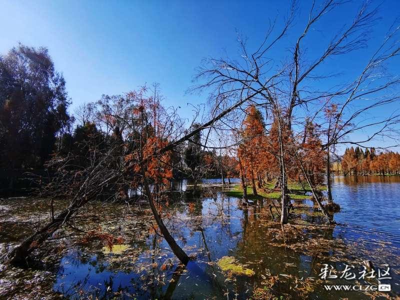 朱熹诗句“半亩方塘一鉴开”的鉴是什么意思游戏画面