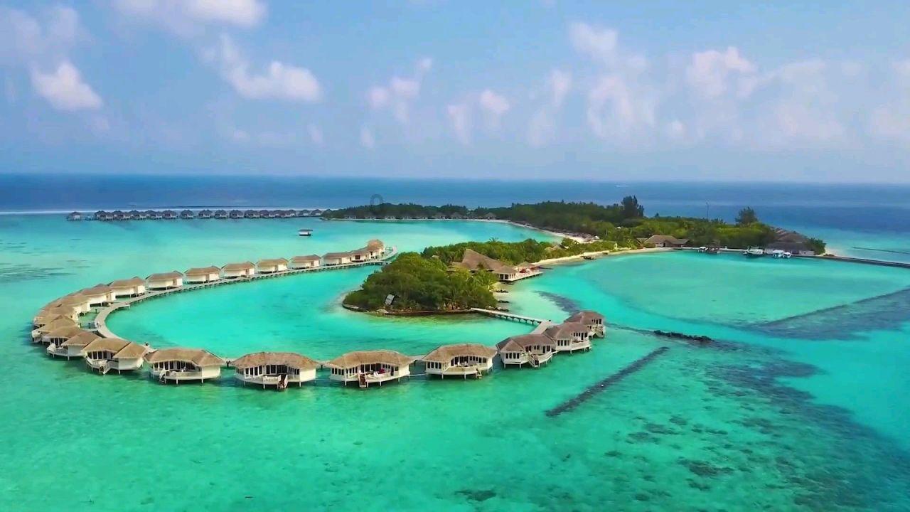 吃鸡模拟器