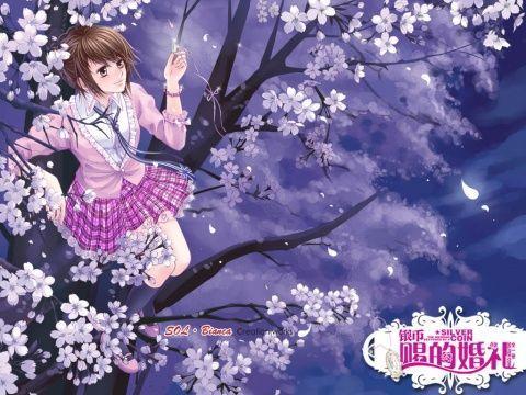 璀璨华服