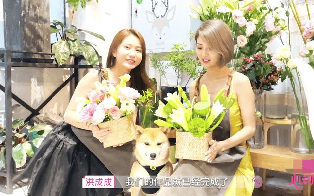 小猪佩奇小小冒险