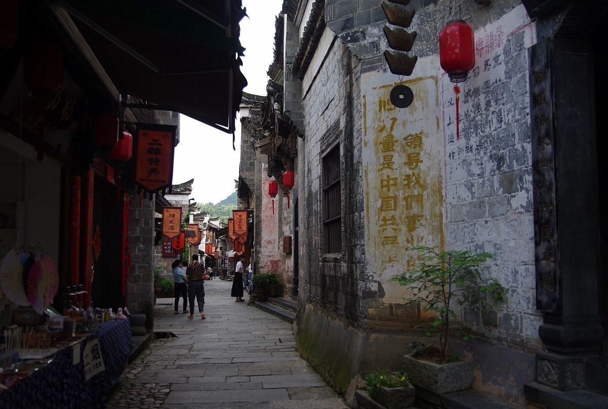 救援怒吼的狮子