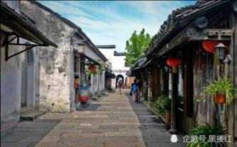 【两会关注】赵德超代表：建议优化考核，提升农技人员创新积极性