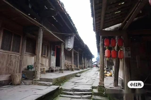 2024山东两会｜省人大代表罗公利：整合学校人才、平台等资源 积极对接山东产业发展中的卡脖子技术
